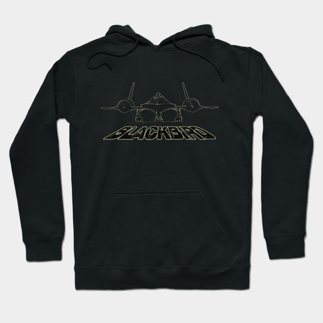 Blackbird SR 71 Hoodie by hottehue